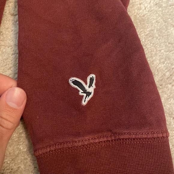American Eagle Super Soft Hoodie - Picture 2 of 4